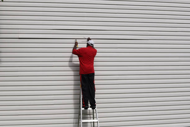 Best Insulated Siding Installation  in Menasha, WI